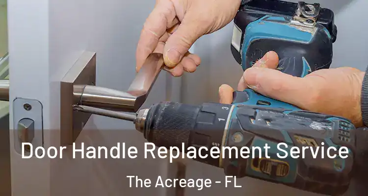  Door Handle Replacement Service The Acreage - FL
