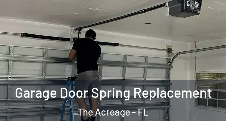  Garage Door Spring Replacement The Acreage - FL